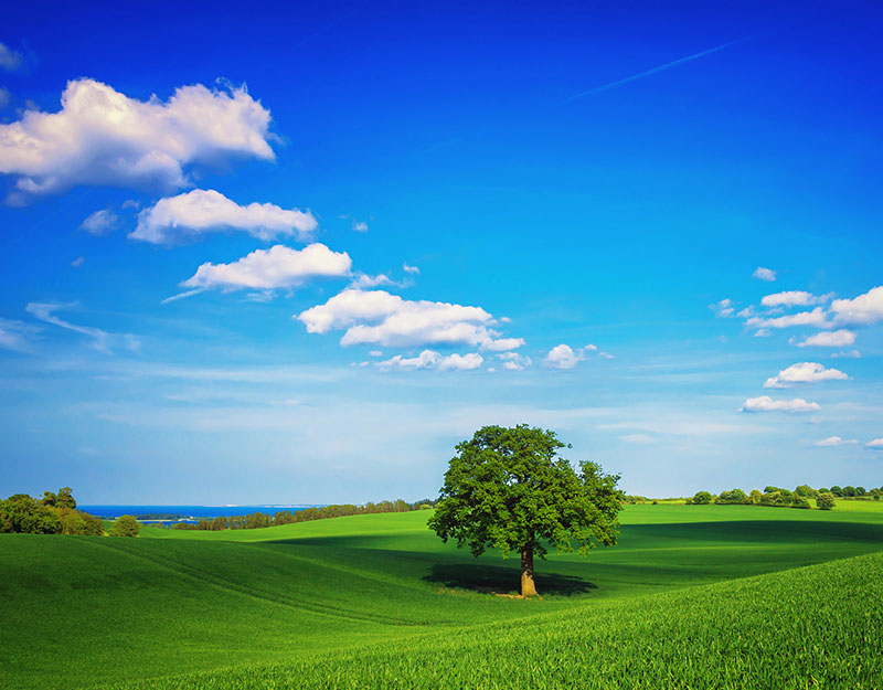 لورم ایپسوم یا طرح‌نما به متنی آزمایشی